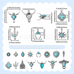 30Pcs 15 Styles Synthetic Turquoise Pendants&nbsp;FIND-BM0001-30