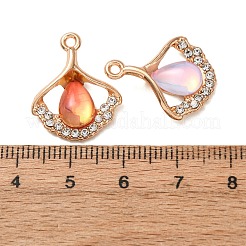 Alloy Glass Pendants&nbsp;FIND-K030-13G