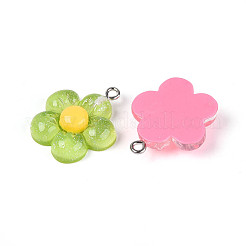 Transparent Resin Pendants&nbsp;RESI-N050-23P