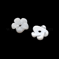 Natural White Shell Beads&nbsp;SH-CBA93AD-07A