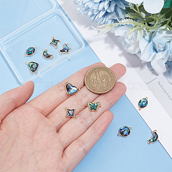 12Pcs 6 Styles Paua Shell Connector Charms&nbsp;FIND-FH0007-96G