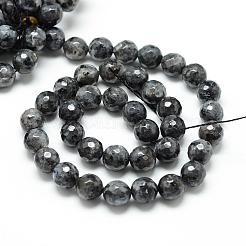 Natural Larvikite Bead Strands&nbsp;G-R176-10mm-07