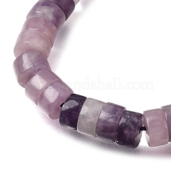 Natural Lepidolite/Purple Mica Beads Strands&nbsp;GG-CBA8682-B08