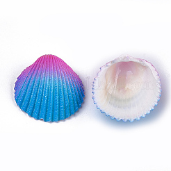 Spray Paint Natural Ark Shell Beads&nbsp;SSHEL-S261-03D