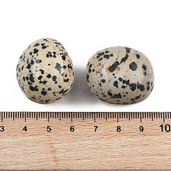 Natural Dalmatian Beads&nbsp;G-G348-01B-48