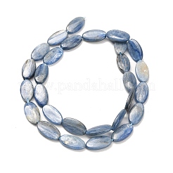 Natural Kyanite Beads Strands&nbsp;G-H335-D01-8x15mm