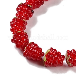 Handmade Lampwork Beads Strands&nbsp;LAMP-Q036-05C