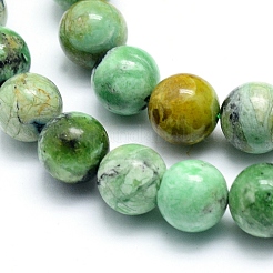 Natural Variscite Beads Strands&nbsp;G-G823-02-8mm