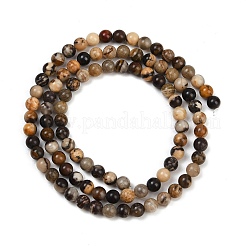 Natural Zebra Jasper Beads Strands&nbsp;G-F792-C13-07