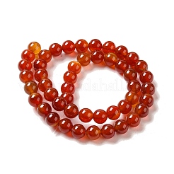 Natural Carnelian Beads Strands&nbsp;G-G390-8mm-03