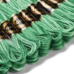 10 Skeins 6-Ply Polyester Embroidery Floss&nbsp;OCOR-K006-A25