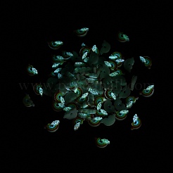 Luminous Resin Cabochons&nbsp;RESI-U003-01