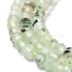 Natural Prehnite Beads Strands&nbsp;G-J400-C05-02
