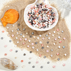4 Strands 4 Colors Natural Shell Beads Strands&nbsp;SSHEL-PA0001-04