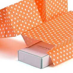 Kraft Paper Bags&nbsp;CARB-I001-07G