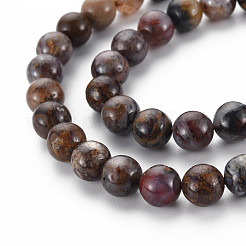 Natural Pietersite Beads Strands&nbsp;G-R446-8mm-13