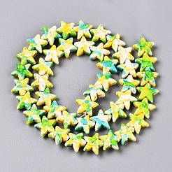 Spray Painted Synthetic Turquoise Beads Strands&nbsp;LS-UNKW-T001-11C