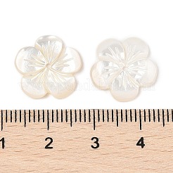 Natural White Shell Carved Beads&nbsp;SSHEL-I026-12F-07