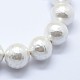 Shell Pearl Beads Strands&nbsp;BSHE-K053-02-12mm-3