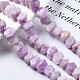 Natural Kunzite Beads Strands&nbsp;X-G-S376-008-4