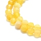 Natural Yellow Opal Beads Strands&nbsp;G-P457-A03-18-2