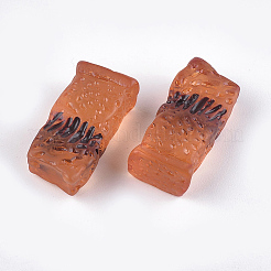 Resin Cabochons&nbsp;CRES-T011-23