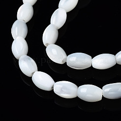 Natural Trochid Shell/Trochus Shell Beads Strands&nbsp;SSHEL-S266-021A-01