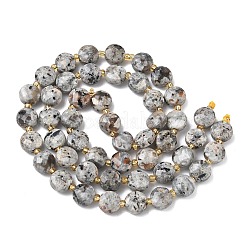 Natural Syenite Beads Strands&nbsp;G-K389-B86-01