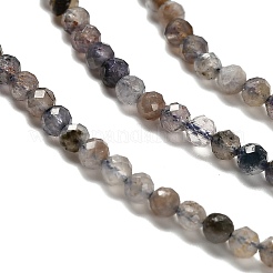 Natural Iolite Beads Strands&nbsp;LS-G-RM2025-22-3mm