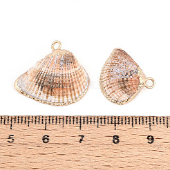 Natural Shell Pendants&nbsp;BSHE-T014-04