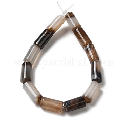 Natural Agate Beads Strands&nbsp;G-H295-E01-04