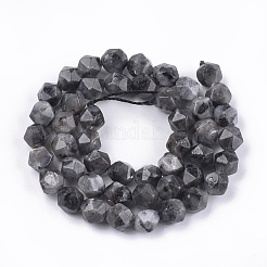 Natural Larvikite Beads Strands&nbsp;G-S348-03