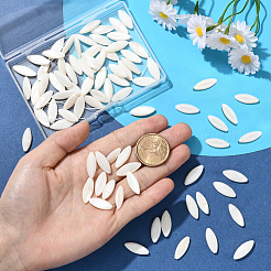4 Strands Natural Shell Beads Strands&nbsp;SHEL-SC0001-83