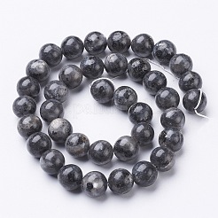 Natural Larvikite Beads Strands&nbsp;GSR10mmC128