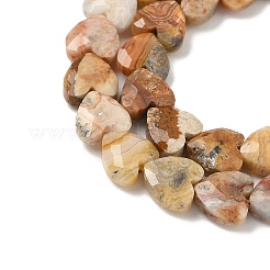 Natural Crazy Agate Beads Strands&nbsp;G-D316-B03