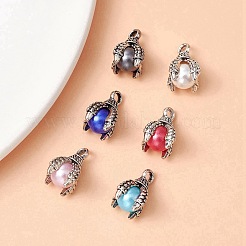 6 Bags 6 Colors Tibetan Style Alloy Charms&nbsp;FIND-YW0004-13