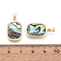 Natural Paua Shell Pendants&nbsp;KK-T073-64A