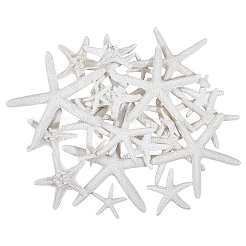 30Pcs 6 Styles Opaque Resin Sea Animal Decoden Cabochons&nbsp;RESI-NB0002-07