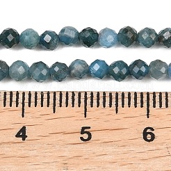 Natural Apatite Beads Strands&nbsp;G-P612-C-3mm-02
