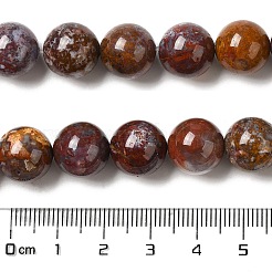 Natural Ocean Jasper Beads Strands&nbsp;G-H298-A13-05