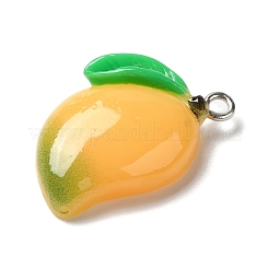 Opaque Resin Fruit Pendants&nbsp;RESI-M039-06
