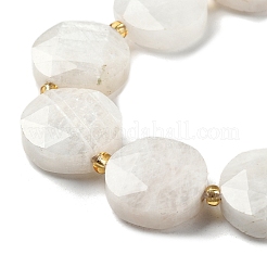 Natural Rainbow Moonstone Beads Strands&nbsp;G-C116-A168-03