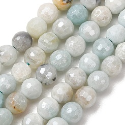Electroplated Natural Flower Amazonite Beads Strands&nbsp;G-B191-A03-6mm