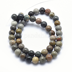 Natural Ocean Agate/Ocean Jasper Beads Strands&nbsp;G-G735-05-6mm