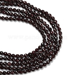 Natural Garnet Beads Strands&nbsp;G-C280-B04-6mm