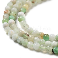 Natural Serpentine Beads Strands&nbsp;G-G161-D24-01