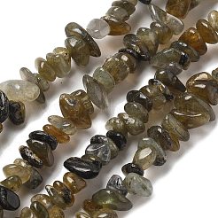 Natural Labradorite Beads Strands&nbsp;G-P332-23