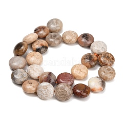 Natural Fossil Coral Beads Strands&nbsp;GG-CBA362F-02