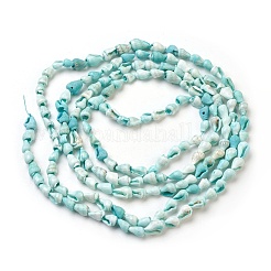 Spiral Shell Beads Strands&nbsp;BSHE-L037-09