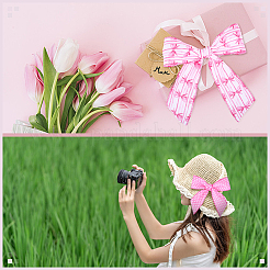 2Rolls 2 Styles Polyester Ribbons&nbsp;SRIB-ME0001-17
